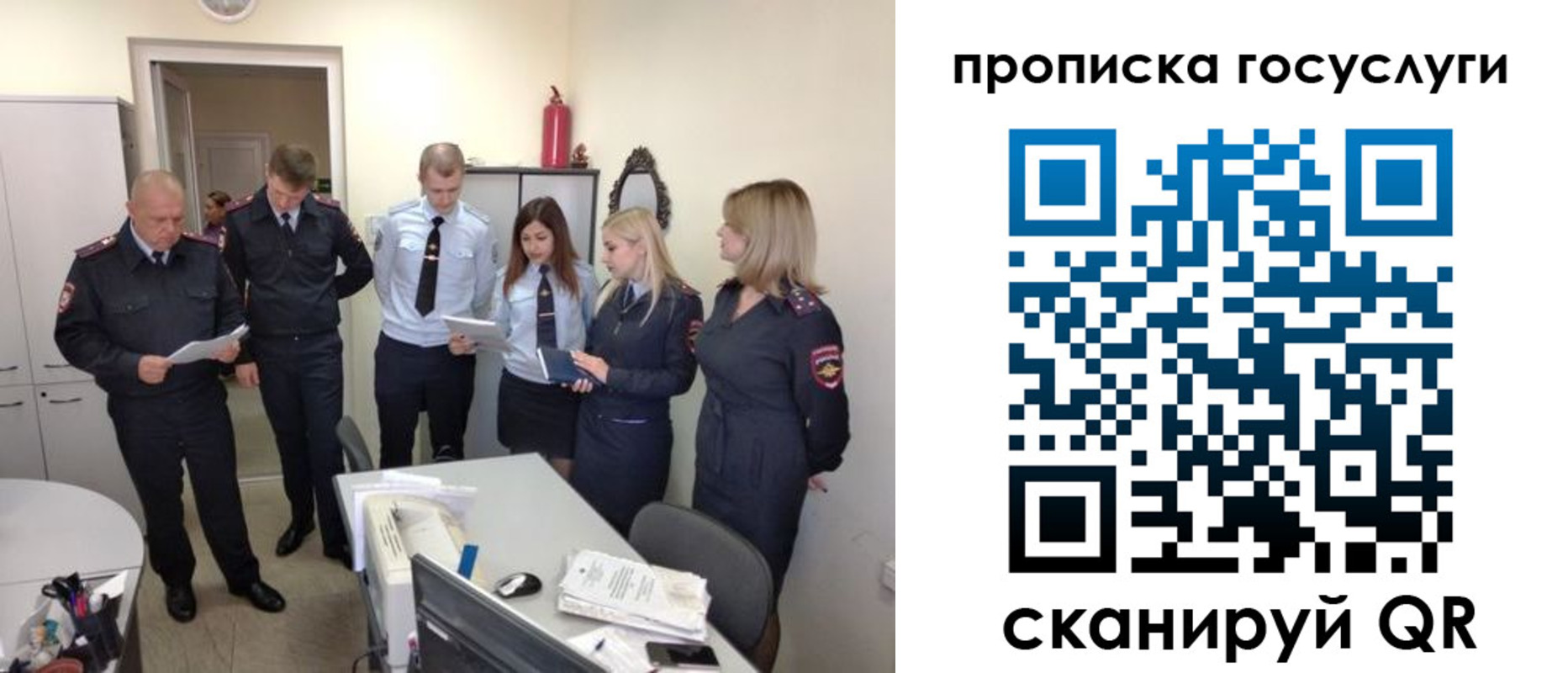 прописка поиск в Павловске